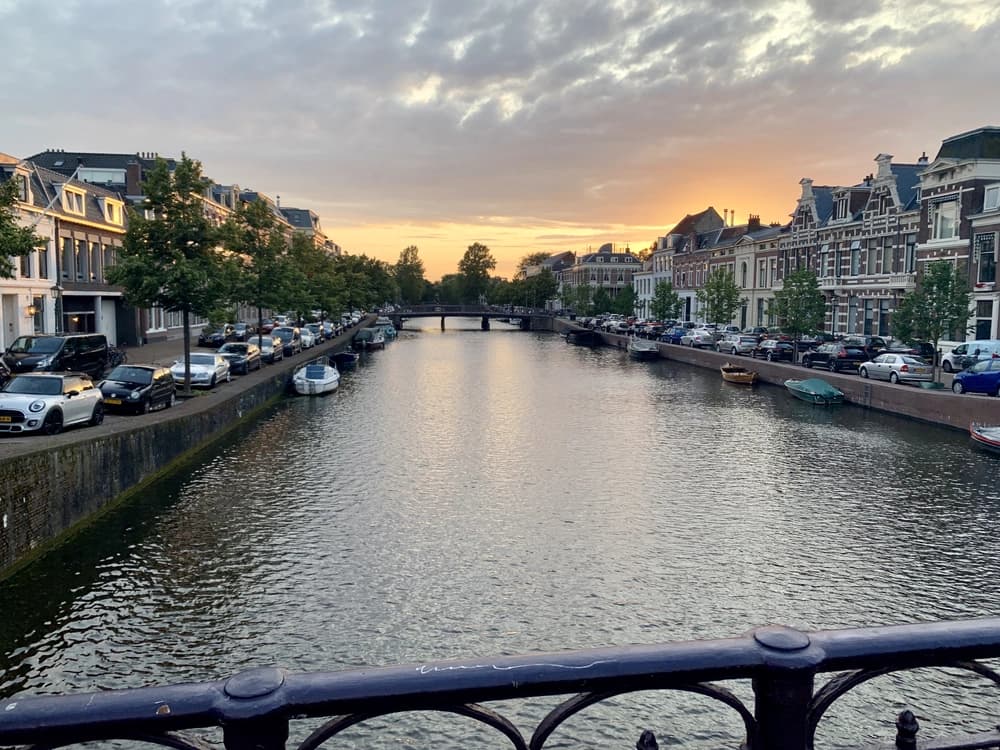 Thumbnail van artikel In deze Haarlemse wijken wil iedereen wonen