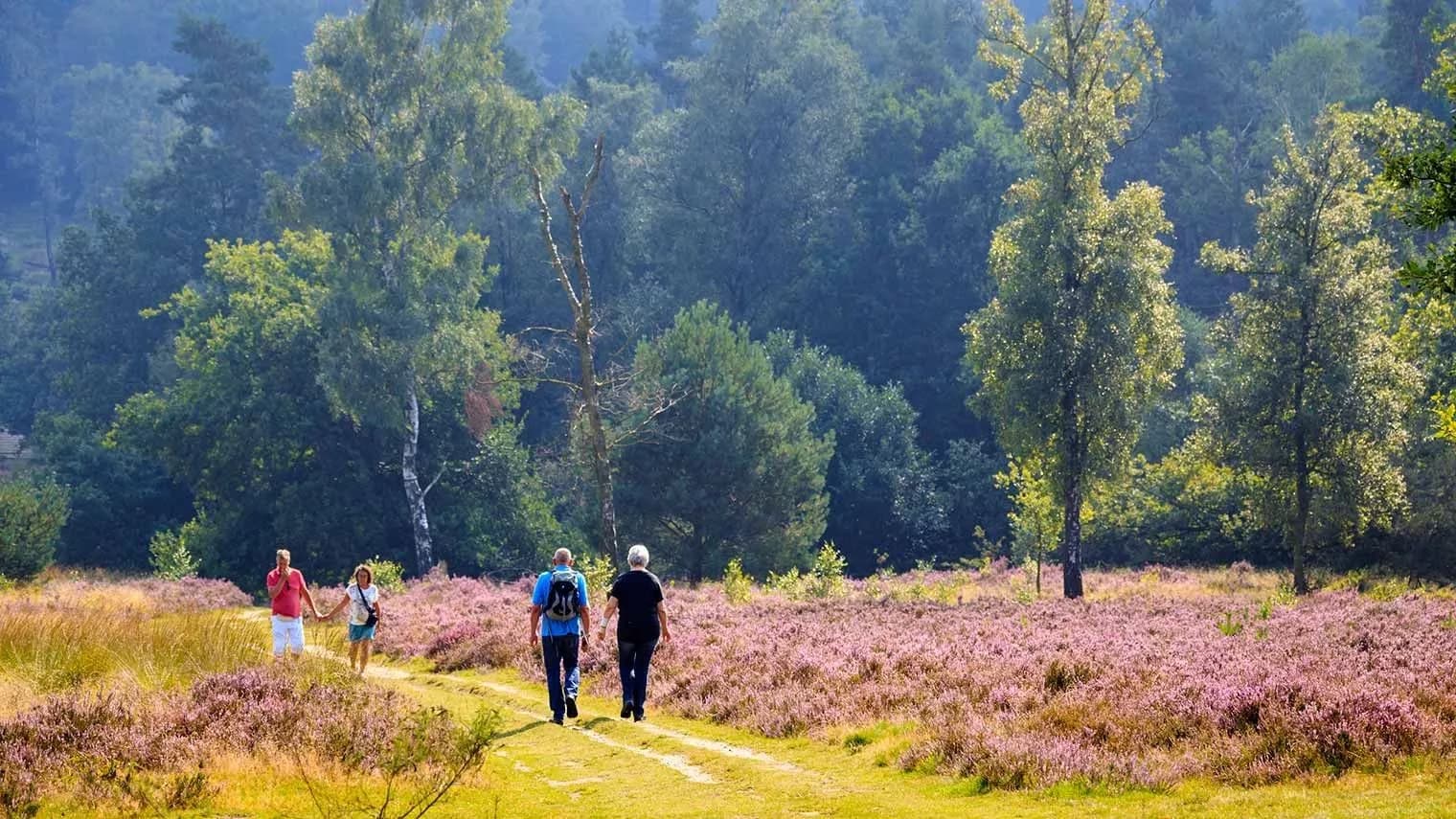 Thumbnail van artikel Hoe Duur is Wonen op de Veluwe? 