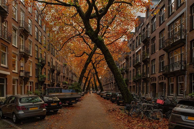 Thumbnail van artikel Amsterdam's Mooiste Straten: Hier Wil Je Wonen